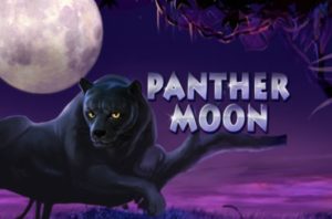 panther-moon.jpg