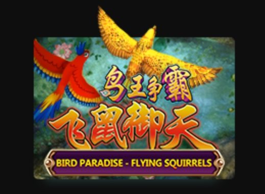 Bird-Paradise-joker-game